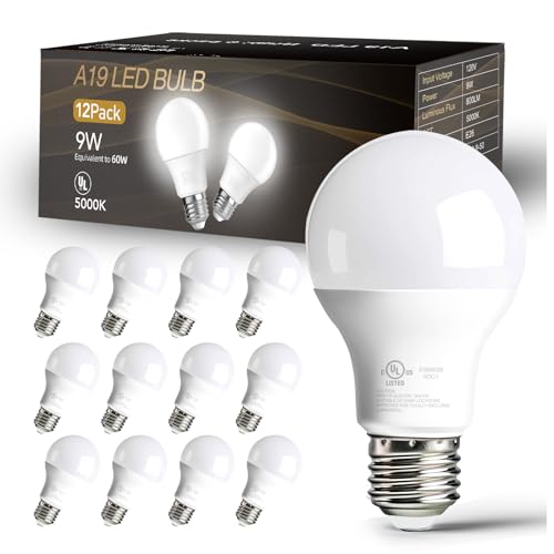 Energy-Efficient Led Bulbs